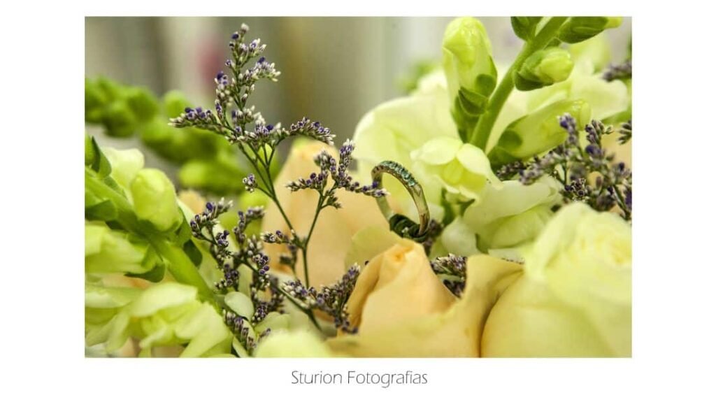 13a8d8595561eb12ca8f24ae90ec083812