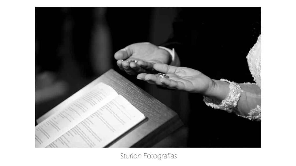 3db97bf82b34c98749889ca034a1e56232